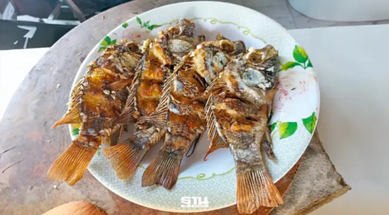 เปิดไอเดียคนไทย สร้างมูลค่าจาก“ปลาหมอคางดำ”ได้มากกว่าที่คิด เปิดไอเดียคนไทย สร้างมูลค่าจาก“ปลาหมอคางดำ”ได้มากกว่าที่คิด