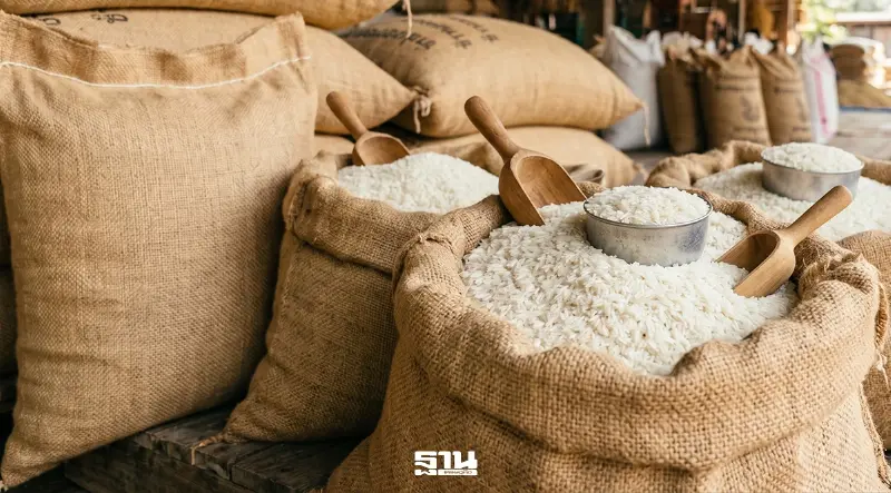 อานิสงส์ ‘เอลนีโญ’ ดัน 3 ชาติอาเซียนแห่ซื้อข้าวไทย ลุ้นส่งออกแตะ 7 ล้านตัน