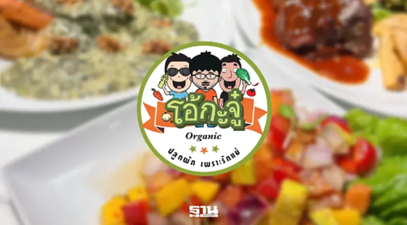 OKJ ทรุดเซ่นกำลังซื้อดิ่ง ล้างไพ่หั่นราคา-ส่งแบรนด์ใหม่สู้ศึก OKJ ทรุดเซ่นกำลังซื้อดิ่ง ล้างไพ่หั่นราคา-ส่งแบรนด์ใหม่สู้ศึก