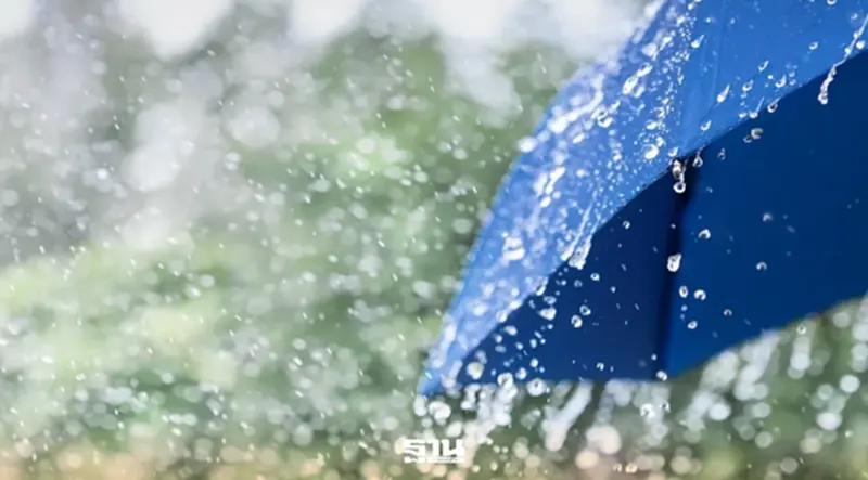 สภาพอากาศวันที่ 28 พ.ค.-1 มิ.ย.ไทยฝนเพิ่ม ตะวันออก-ใต้ฝนตกหนักถึงหนักมาก สภาพอากาศวันที่ 28 พ.ค.-1 มิ.ย.ไทยฝนเพิ่ม ตะวันออก-ใต้ฝนตกหนักถึงหนักมาก
