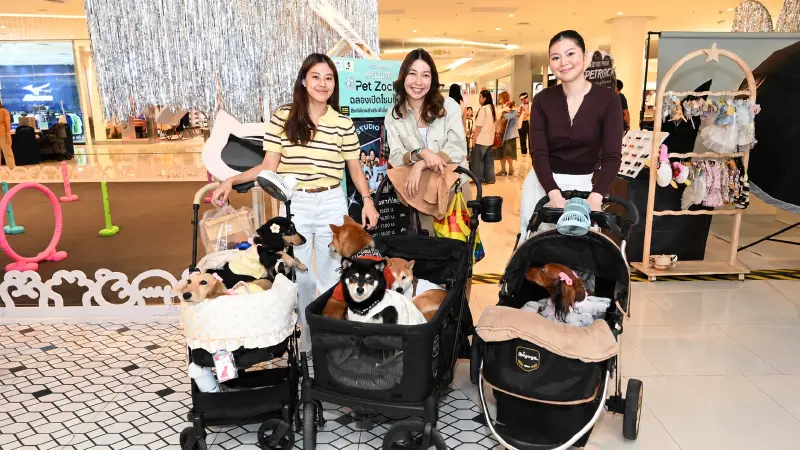 ฟิวเจอร์พาร์ค-สเปลล์ เปิดตัว “Pet Zociety” โซนสัตว์เลี้ยงครบวงจร ฟิวเจอร์พาร์ค-สเปลล์ เปิดตัว “Pet Zociety” โซนสัตว์เลี้ยงครบวงจร