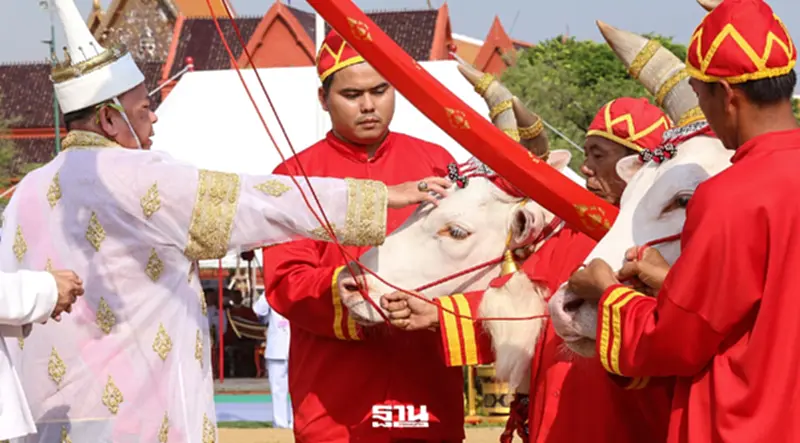 เปิดรายชื่อเกษตรกร-สหกรณ์ดีเด่นปี 69 เตรียมรับพระราชทานรางวัลงาน 'พืชมงคล' เปิดรายชื่อเกษตรกร-สหกรณ์ดีเด่นปี 69 เตรียมรับพระราชทานรางวัลงาน 'พืชมงคล'