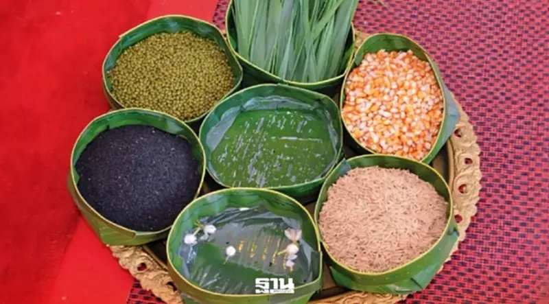 เปิดคำทำนายย้อนหลัง 11 ปี "วันพืชมงคล" 2569 พระโคกินอะไร? เปิดคำทำนายย้อนหลัง 11 ปี "วันพืชมงคล" 2569 พระโคกินอะไร?