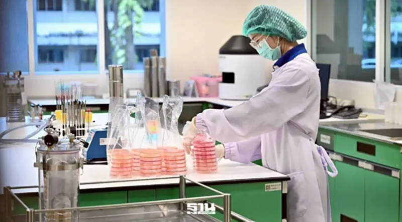 สุ่มตรวจหมูดิบอุบลฯ พบปนเปื้อนเชื้อ 'ไข้หูดับ' 83.3% ป่วยสะสมทะลุ 1.3 พันราย สุ่มตรวจหมูดิบอุบลฯ พบปนเปื้อนเชื้อ 'ไข้หูดับ' 83.3% ป่วยสะสมทะลุ 1.3 พันราย