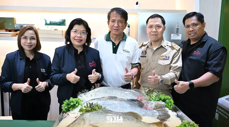 กรมทรัพย์ฯ ลุยฉะเชิงเทรา เล็งปั้นปลากะพงขึ้นทะเบียน GI