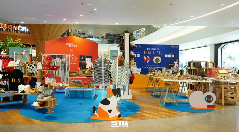 “ICONCRAFT x BAAN MAEW MAEW : THE HOUSE OF THAI CATS” ชวนทาสแมวหลงรักเสน่ห์แมวไทย