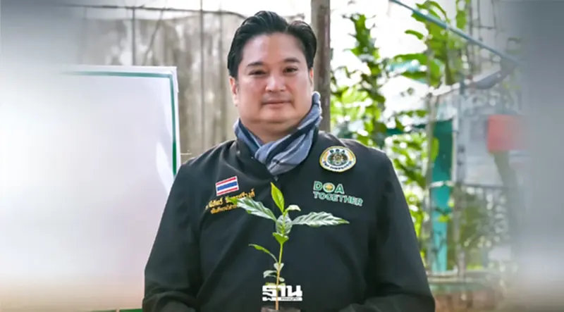 กรมวิชาการเกษตร เตือน " เอลนีโญ-โลกร้อน" ดันด้วงหนวดยาวระบาด ต้นกาแฟยืนต้นตาย กรมวิชาการเกษตร เตือน " เอลนีโญ-โลกร้อน" ดันด้วงหนวดยาวระบาด ต้นกาแฟยืนต้นตาย