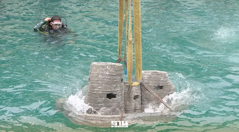 ททท.หนุนฟื้นฟูทะเลไทย คืนบ้านให้ปะการัง ฝูงปลา ด้วย SCG 3D Printing