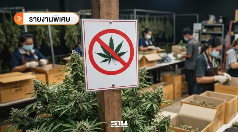 ปิดประตูกัญชาเสรี ร่าง พ.ร.บ. ควบคุมกัญชาฯ "ห้ามสูบ-ห้ามขายออนไลน์"