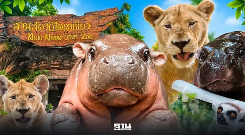 เช็กเลย 28 ก.ค.วันหยุดราชการ คนไทยเข้าฟรี 'สวนสัตว์-อุทยานแห่งชาติ'ทั่วประเทศ เช็กเลย 28 ก.ค.วันหยุดราชการ คนไทยเข้าฟรี 'สวนสัตว์-อุทยานแห่งชาติ'ทั่วประเทศ