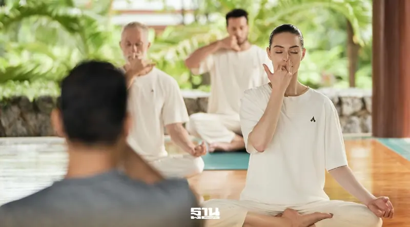‘ชีวาศรม’ เปิดแนวคิดดันไทย ‘ที่พักพิง’ รับเทรนด์ Wellness โลก
