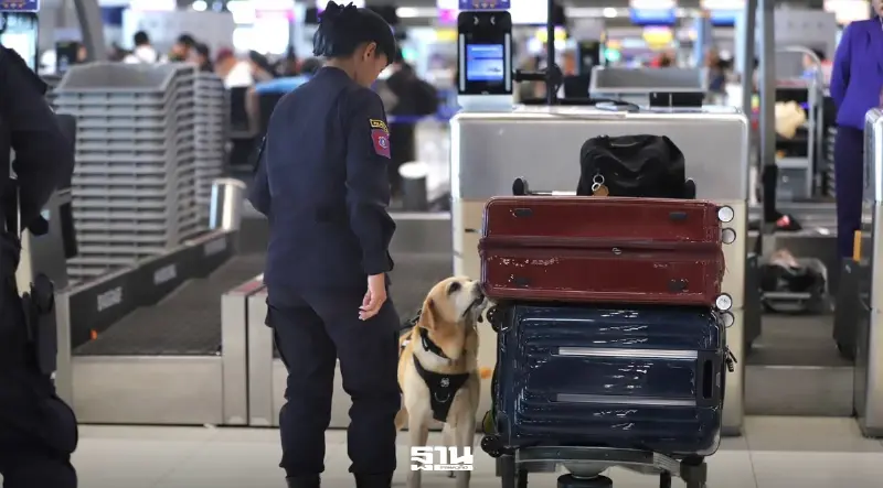 AOT ผนึกกำลังตำรวจ K-9 สกัดลักลอบลำเลียงยาเสพติด ผ่านสนามบินสุวรรณภูมิ