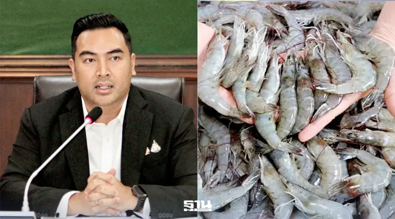 ‘วัชระพล’ เร่งฝ่าวิกฤตกุ้งไทย ดันวาระแห่งชาติ ผุดแผนยกระดับทั้งห่วงโซ่ ‘วัชระพล’ เร่งฝ่าวิกฤตกุ้งไทย ดันวาระแห่งชาติ ผุดแผนยกระดับทั้งห่วงโซ่