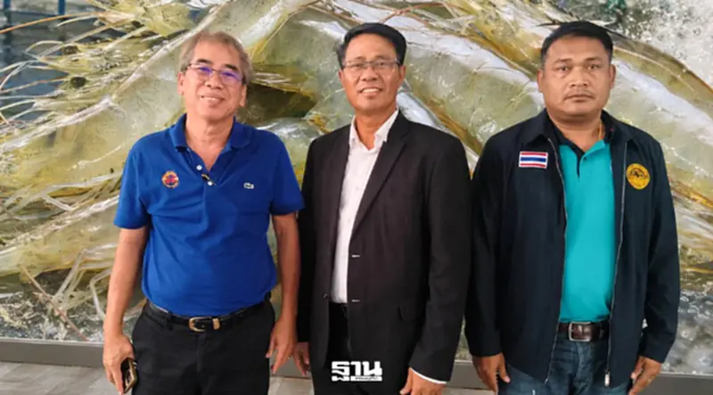 ราคากุ้งฟื้น บอร์ดกุ้งเร่งแผนใหญ่ ชงกองทุน-ช่วยรายย่อยสู้ส่งออก ราคากุ้งฟื้น บอร์ดกุ้งเร่งแผนใหญ่ ชงกองทุน-ช่วยรายย่อยสู้ส่งออก