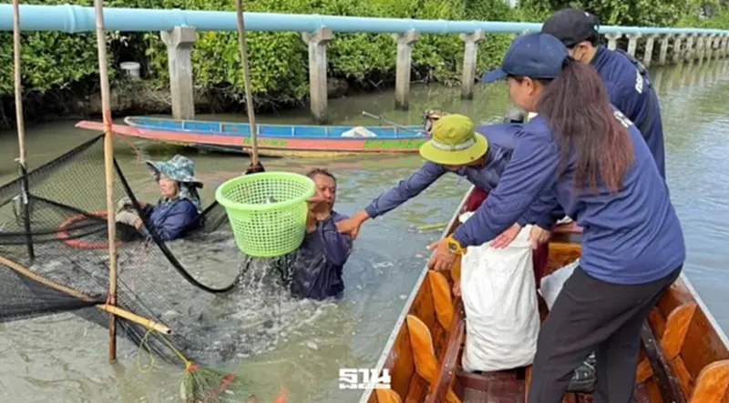 โจทย์ใหญ่ระบบนิเวศสู่ความร่วมมือแก้ปัญหาปลาหมอคางดำ โจทย์ใหญ่ระบบนิเวศสู่ความร่วมมือแก้ปัญหาปลาหมอคางดำ
