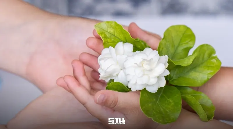 วันแม่ 2569 เงินสะพัด 1.14 หมื่นล้าน สูงสุดรอบ 7 ปี แต่โต 0.7% ปชช.จ่ายประหยัด