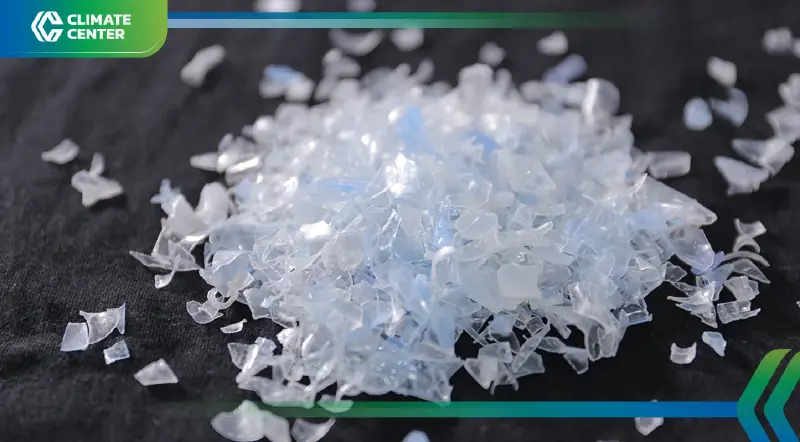 ตลาดพลาสติกรีไซเคิลเดือด ThaiPlastic Recycle ผ่าน US FDA ปูทางบุกตลาดโลก