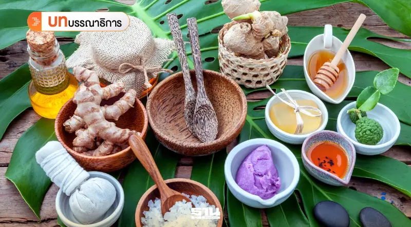 รัฐต้องหนุนเวลเนสไทยขับเคลื่อนเศรษฐกิจใหม่