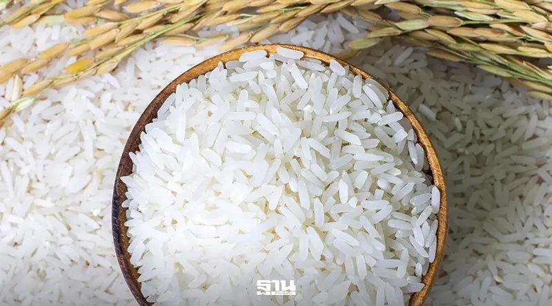 สนค.ปรับยุทธศาสตร์ค้าข้าวไทย ปักธง 3 ชนิดมูลค่าสูง ชิงส่วนแบ่งตลาดโลก 18%
