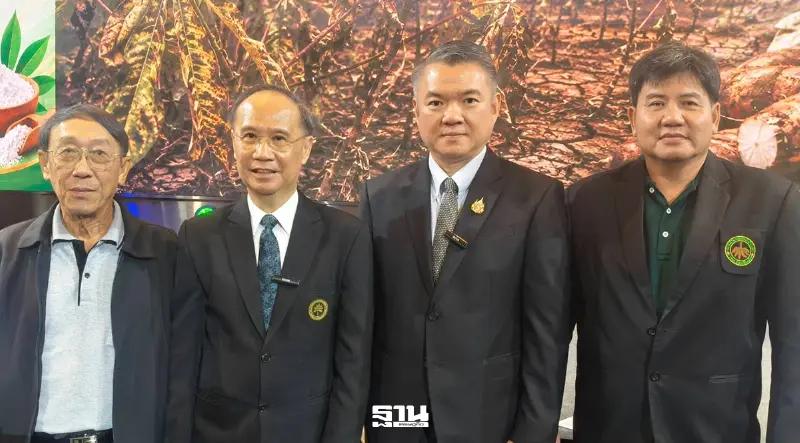 อุตฯมันสำปะหลัง โคม่า ผลผลิตต่ำสุดเป็นประวัติการณ์ ฉุดรายได้วูบ กว่า 8.5 หมื่นล้าน อุตฯมันสำปะหลัง โคม่า ผลผลิตต่ำสุดเป็นประวัติการณ์ ฉุดรายได้วูบ กว่า 8.5 หมื่นล้าน