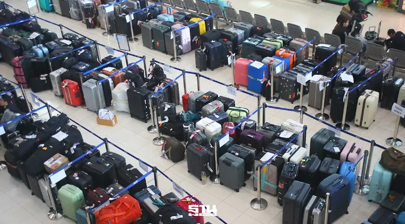 DD การบินไทย นัดแถลงด่วนวันนี้ ถ่ายทอดสด 11.30 น. ปมวิกฤตกระเป๋า-ยกเลิกไฟล์ต