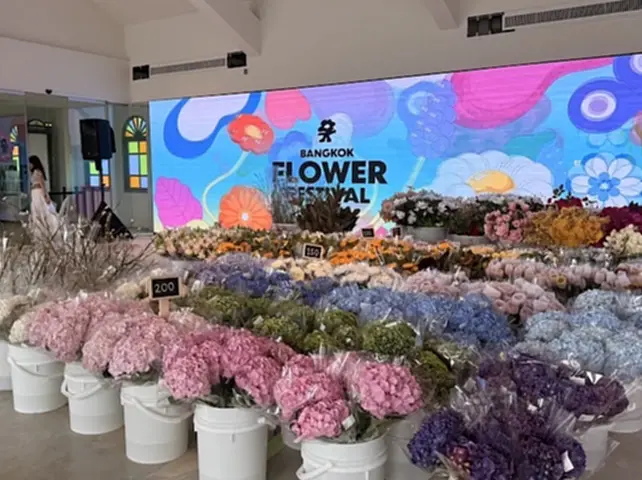 สธ. จ่อเคาะเพิ่ม 4 โรคเฝ้าระวัง พร้อมคุมเข้มฐานข้อมูลวัคซีนรพ.รัฐ-เอกชนทั่วปท. สธ. จ่อเคาะเพิ่ม 4 โรคเฝ้าระวัง พร้อมคุมเข้มฐานข้อมูลวัคซีนรพ.รัฐ-เอกชนทั่วปท.