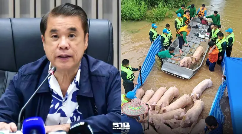 น้ำท่วมกระทบปศุสัตว์ 7.15 แสนตัว “สุริยะ” เร่งสำรวจเยียวยาตามเกณฑ์ปี 2569 น้ำท่วมกระทบปศุสัตว์ 7.15 แสนตัว “สุริยะ” เร่งสำรวจเยียวยาตามเกณฑ์ปี 2569
