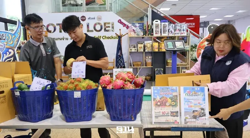 7 สายการบิน เปิดให้ผู้โดยสารโหลดผลไม้ขึ้นเครื่องฟรี 10 กิโล ใน 20 สนามบิน 7 สายการบิน เปิดให้ผู้โดยสารโหลดผลไม้ขึ้นเครื่องฟรี 10 กิโล ใน 20 สนามบิน