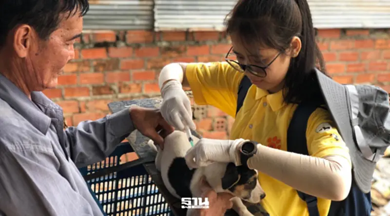 เปิดแผน 3 ปี ทุ่ม 3 ล้านดอลลาร์ ปิดจุดเสี่ยงพิษสุนัขบ้าไทย หนุนระบบสุขภาพ-เศรษฐกิจ เปิดแผน 3 ปี ทุ่ม 3 ล้านดอลลาร์ ปิดจุดเสี่ยงพิษสุนัขบ้าไทย หนุนระบบสุขภาพ-เศรษฐกิจ