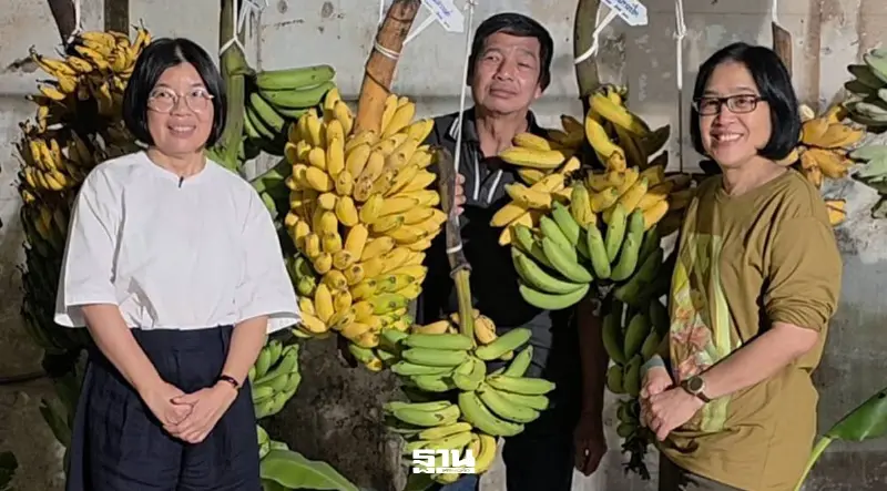 “รสชาติไทย”ชูวัตถุดิบไทย ผ่าน Banana Party สร้างสรรค์อาหาร ขนม ด้วยภูมิปัญญา “รสชาติไทย”ชูวัตถุดิบไทย ผ่าน Banana Party สร้างสรรค์อาหาร ขนม ด้วยภูมิปัญญา