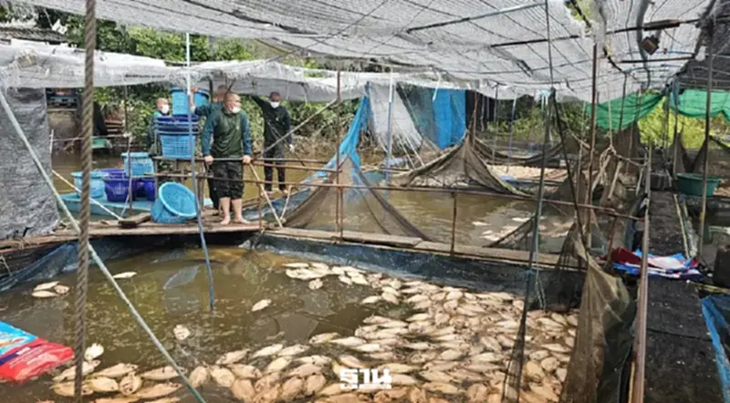 รัฐบาลไม่ด่วนสรุปปมปลาตายปราจีนบุรี ส่ง คพ.เร่งตรวจสอบเก็บตะกอนดินหลังน้ำลด รัฐบาลไม่ด่วนสรุปปมปลาตายปราจีนบุรี ส่ง คพ.เร่งตรวจสอบเก็บตะกอนดินหลังน้ำลด