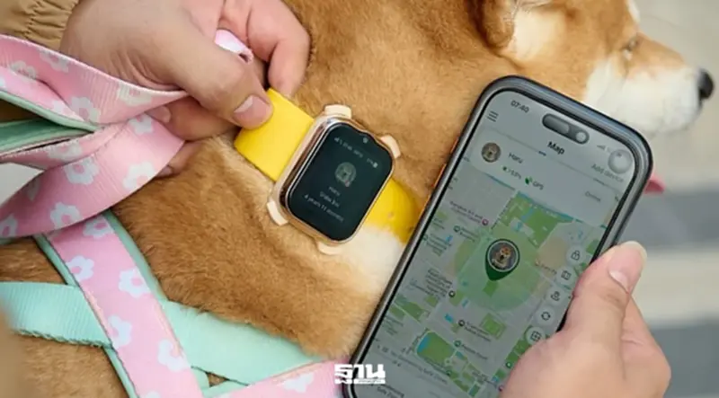 AIS เปิดตัว SMART Pets Phone ยกระดับสู่ “สมาร์ทโฟนประจำตัว” สัตว์เลี้ยง AIS เปิดตัว SMART Pets Phone ยกระดับสู่ “สมาร์ทโฟนประจำตัว” สัตว์เลี้ยง
