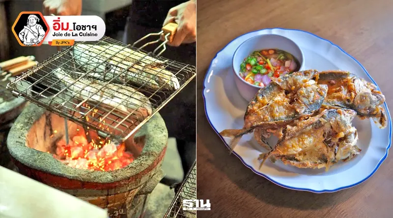 มาเดสโลว์ฟิช และทิวา รษา
