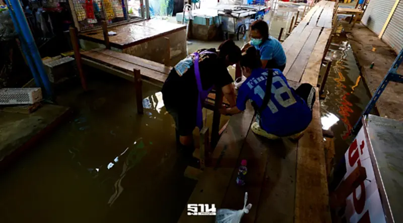 5 วิธีดูแลบ้าน-สุขภาพหลังน้ำลด ป้องกันโรคจากยุง-แมลงวันระบาด 5 วิธีดูแลบ้าน-สุขภาพหลังน้ำลด ป้องกันโรคจากยุง-แมลงวันระบาด