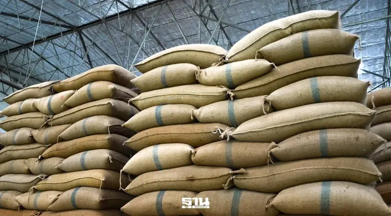 ส่งออกข้าวส่อหลุดเป้า 7ล้านต้น ต่ำสุดรอบ 5 ปี จีทูจีจีนล่ม