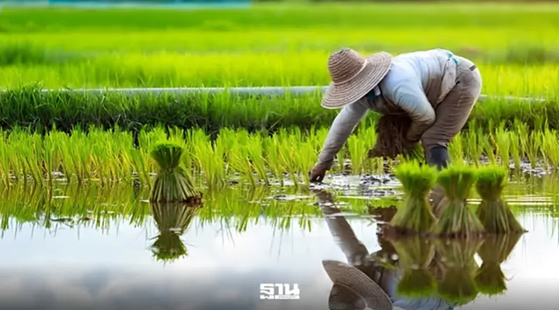 เปิด 7 นวัตกรรมเกษตร วว. ลดต้นทุนปุ๋ย–เพิ่มมูลค่าแปรรูป เปิด 7 นวัตกรรมเกษตร วว. ลดต้นทุนปุ๋ย–เพิ่มมูลค่าแปรรูป