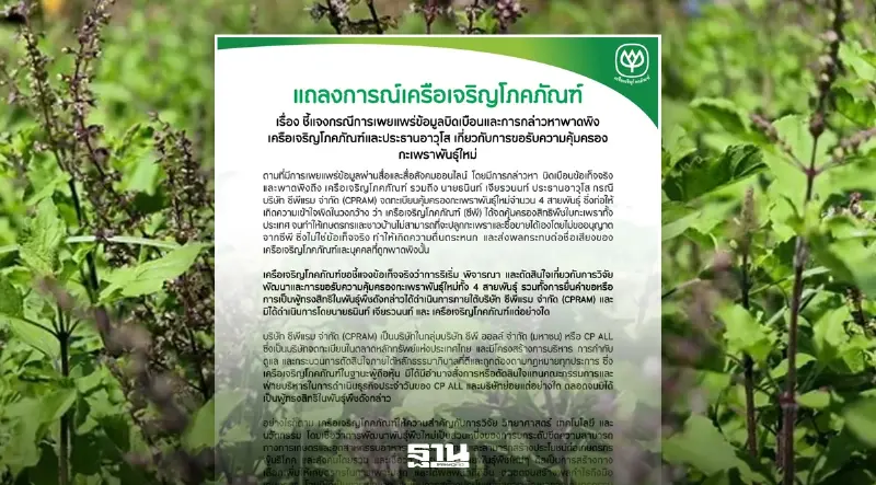 ีซีพี แจงถูกพาดพิงปม 'ซีพีแรม' ยื่นจดคุ้มครองกะเพรา 4 สายพันธุ์