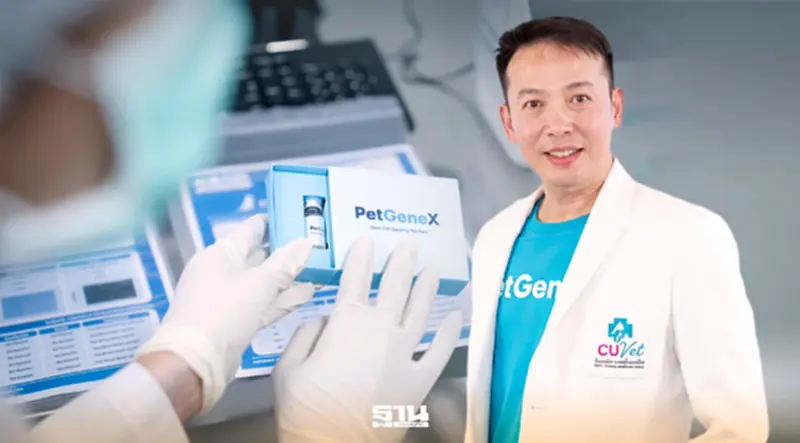 เทรนด์ Pet Humanization ดัน ‘PetGeneX’ เดินหน้านวัตกรรม Stem Cell สัตว์เลี้ยง เทรนด์ Pet Humanization ดัน ‘PetGeneX’ เดินหน้านวัตกรรม Stem Cell สัตว์เลี้ยง