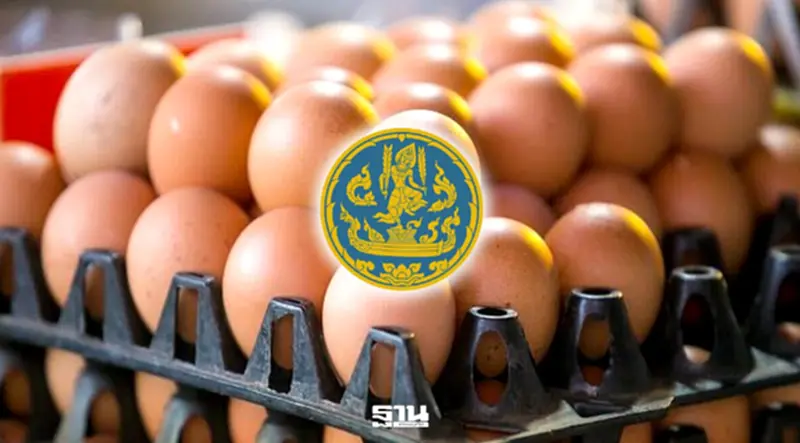 ไข่ไก่ ไข่ไก่